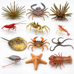 Invertebrates Model